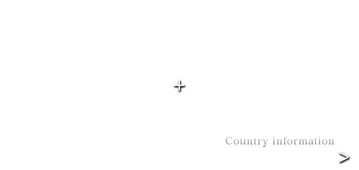基本情報