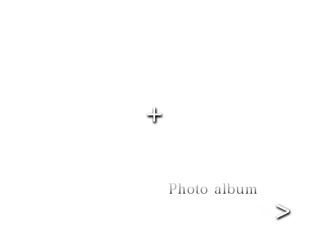 アルバム